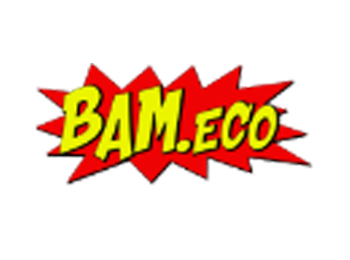 BAM